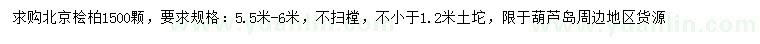 求購5.5-6米北京檜柏