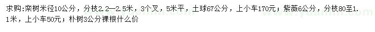 求購欒樹、樸樹、紫薇