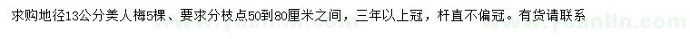 求購地徑13公分美人梅