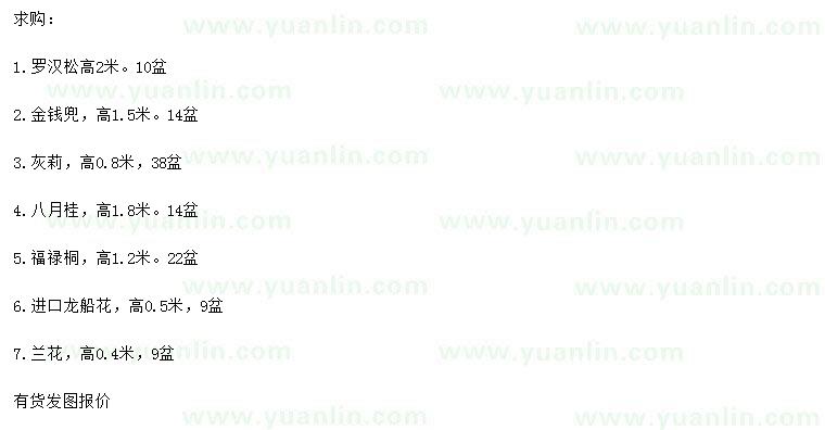 求購羅漢松、金錢(qián)兜、灰莉等