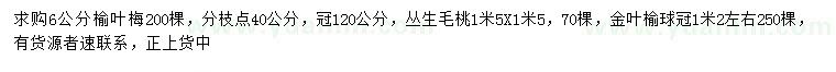 求購(gòu)榆葉梅、叢生毛桃、金葉榆球