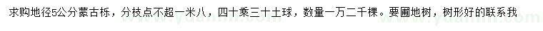 求購地徑5公分蒙古櫟