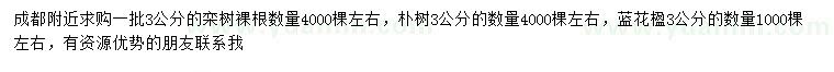 求購欒樹、樸樹、藍花楹