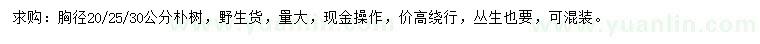求購胸徑20-25-30公分樸樹
