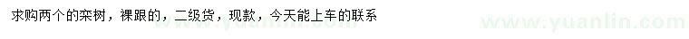 求購2公分欒樹