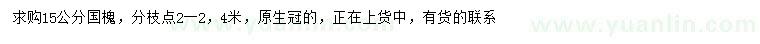 求購15公分國槐