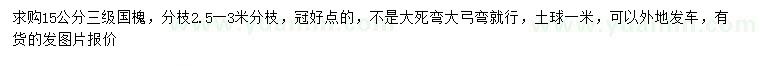 求購15公分國槐