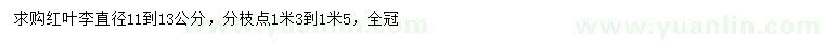 求購11-13公分紅葉李