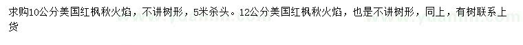 求購(gòu)10、12公分美國(guó)紅楓秋火焰