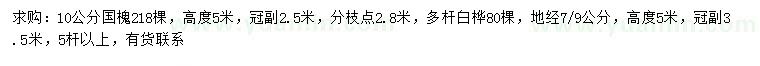 求購10公分國槐、地徑7-9公分多桿白樺