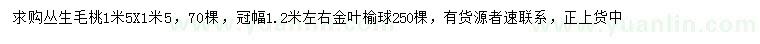 求購(gòu)1.5米叢生毛桃、冠幅1.2米左右金葉榆球
