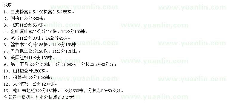 求購白皮松、國槐、北欒等