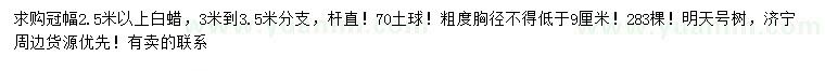求購(gòu)冠幅2.5米以上白蠟