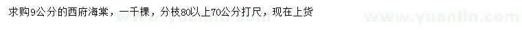 求購9公分西府海棠