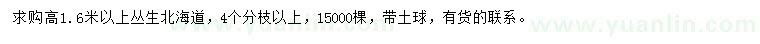求購高1.6米以上叢生北海道
