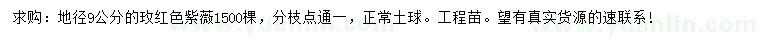 求購地徑9公分玫紅色紫薇