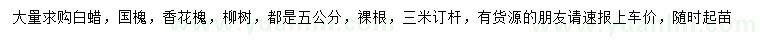 求購(gòu)白蠟、國(guó)槐、香花槐等