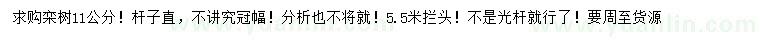 求購11公分欒樹