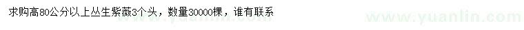 求購(gòu)高80公分以上叢生紫薇