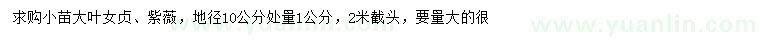 求購(gòu)地徑10公分處量1公分大葉女貞、紫薇