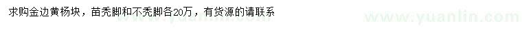 求購(gòu)金邊黃楊