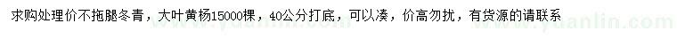 求購(gòu)40公分打底冬青、大葉黃楊