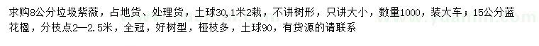 求購8公分垃圾紫薇、15公分藍花楹