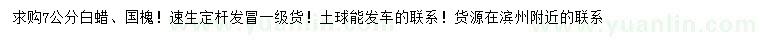 求購(gòu)7公分白蠟、國(guó)槐