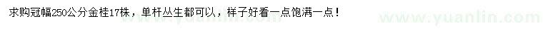 求購冠幅250公分金桂
