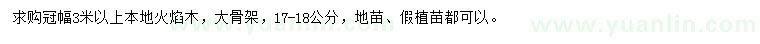 求購冠幅3米以上本地火焰木