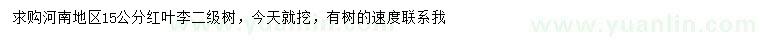 求購15公分紅葉李