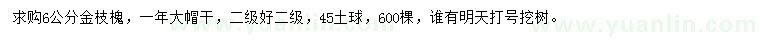 求購6公分金枝槐