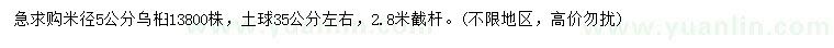 求購米徑5公分烏桕