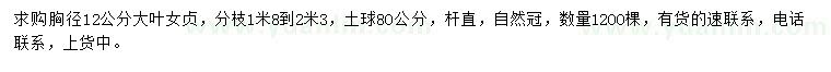 求購(gòu)胸徑12公分大葉女貞