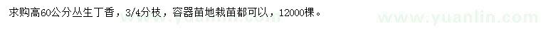 求購(gòu)高60公分叢生丁香