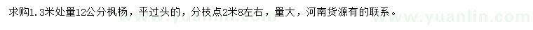 求購1.3米處量12公分楓楊