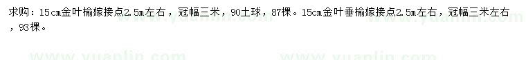 求購15公分金葉榆、金葉垂榆