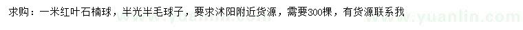 求購(gòu)1米紅葉石楠球