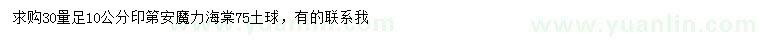 求購(gòu)30量足10公分印第安魔力海棠