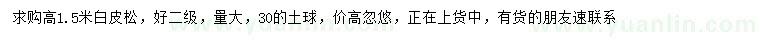 求購高1.5米白皮松