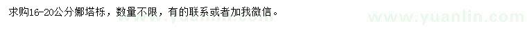 求購16-20公分娜塔櫟
