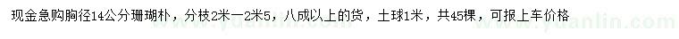 求購胸徑14公分珊瑚樸
