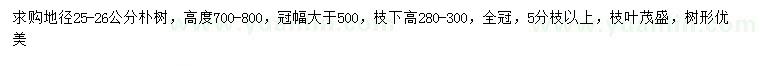 求購地徑25-26公分樸樹