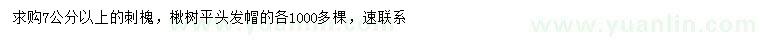 求購7公分以上刺槐、楸樹