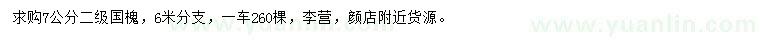 求購7公分國槐