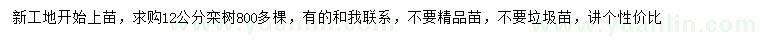求購12公分欒樹
