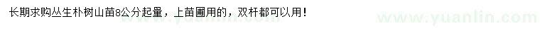 求購8公分以上叢生樸樹