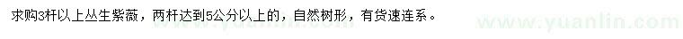 求購3桿以上叢生紫薇