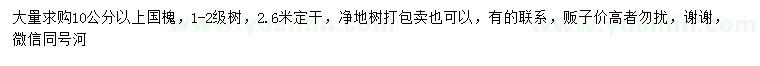 求購10公分以上國槐