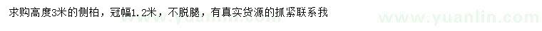 求購高3米側(cè)柏